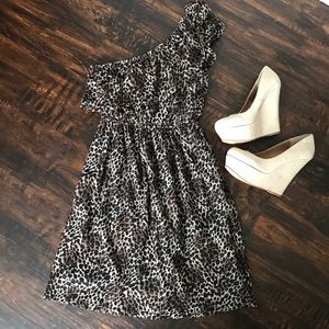 Everly Leopard print lace one shoulder mini dress